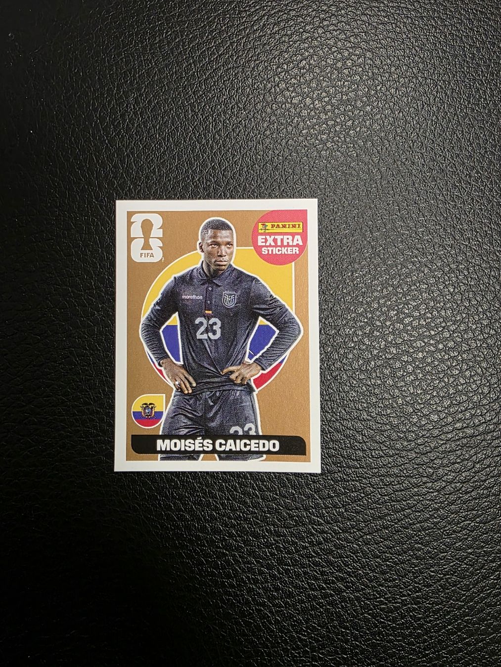 Panini Carte collezionabili: Panini FIFA Extra Sticker bronze Moisés Caicedo – Nuovo (secondo la descrizione) da Neuenkirch venduto da re_giii