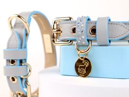 Lederhalsband Hund Echtleder handgemacht XS -  Blau