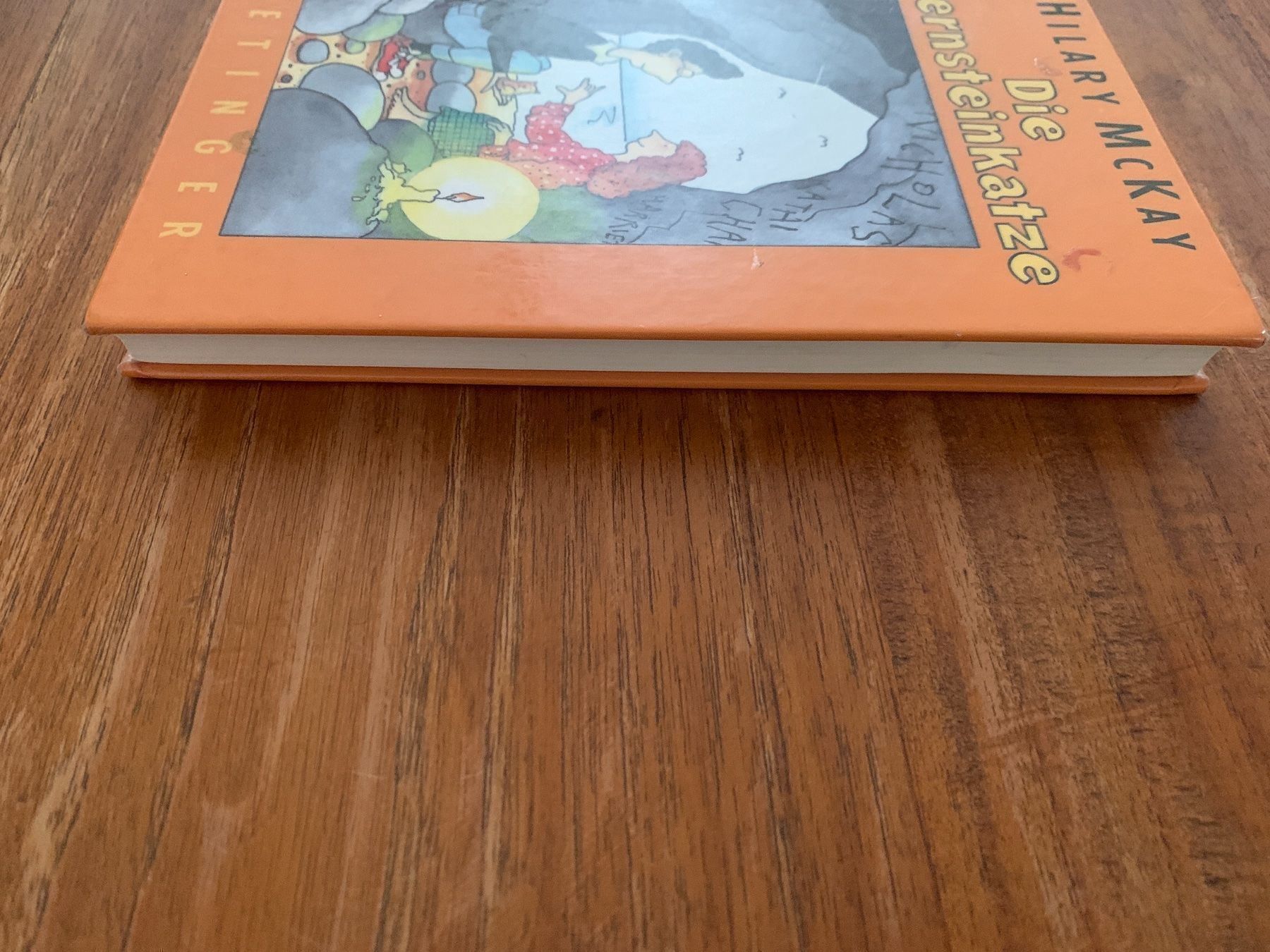 Libri: Die Bernsteinkatze Buch – Usato da Regensdorf venduto da Spyke55 1