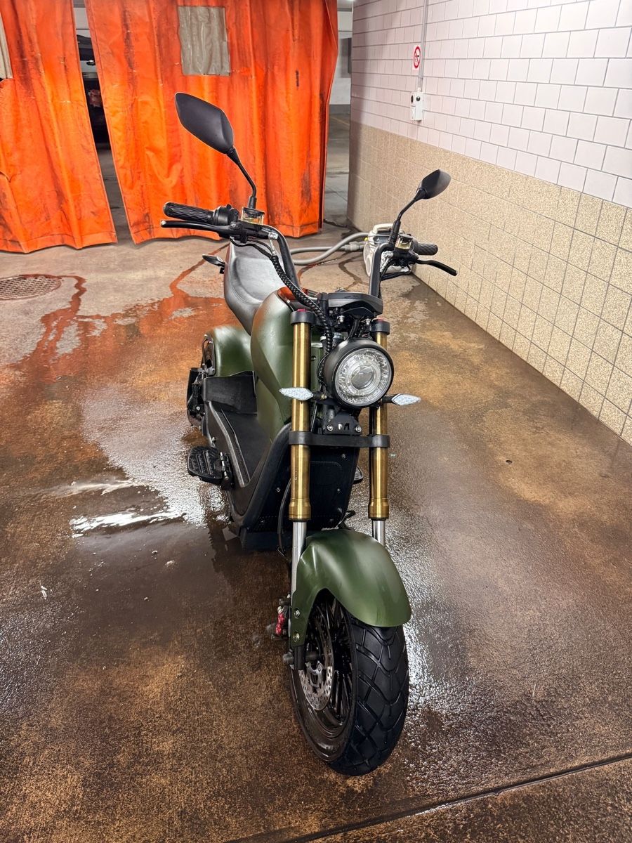 Züriflizzer Scooter: City Max Rs Pro – Usato da Zürich venduto da jsa_b5xn