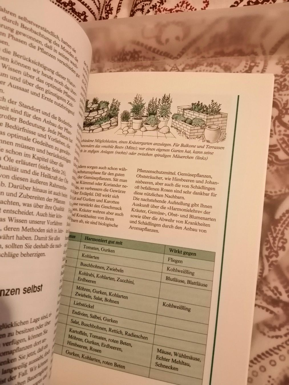 Libri: Aromatherapie – Nuovo (secondo la descrizione) da Ostermundigen venduto da Dinge1 2