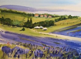 Landschaft mit lavendelfeld