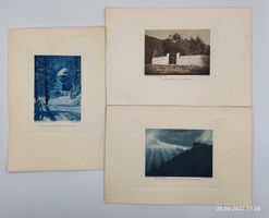 ALBERT STEINER - 3 HELIOGRAVÜREN