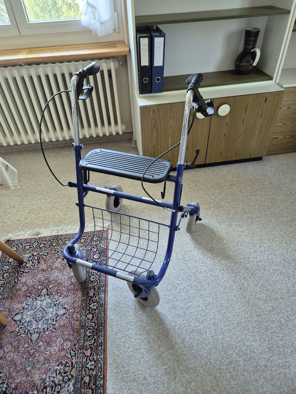 Gehhilfen: Rollator – Gebraucht aus St. Gallen von mscheit