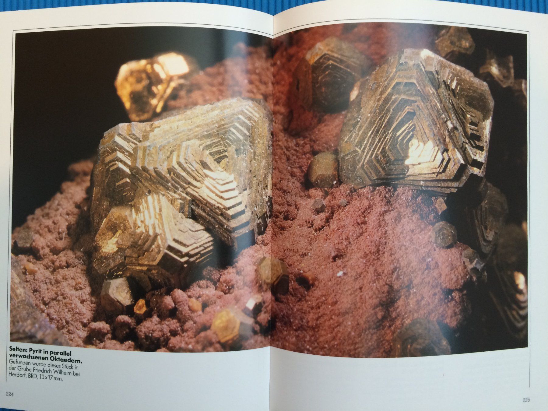 Libri: Zauber der Mineralien – Usato da Wattwil venduto da Baschi77 3