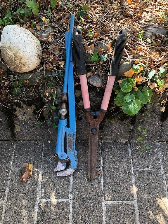 Tous les outils: Grosse Rohrzange + Heckenschere – D'occasion à Villnachern par Jam_Music