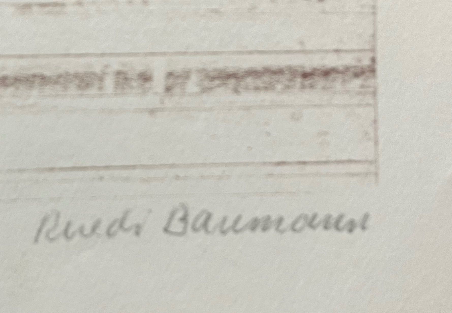Grafica & Litografie: RUEDI BAUMANN LITHOGRAPHIE SIGNIERT NUMMERIERT – Usato da Gersau venduto da grafik-kunst 1