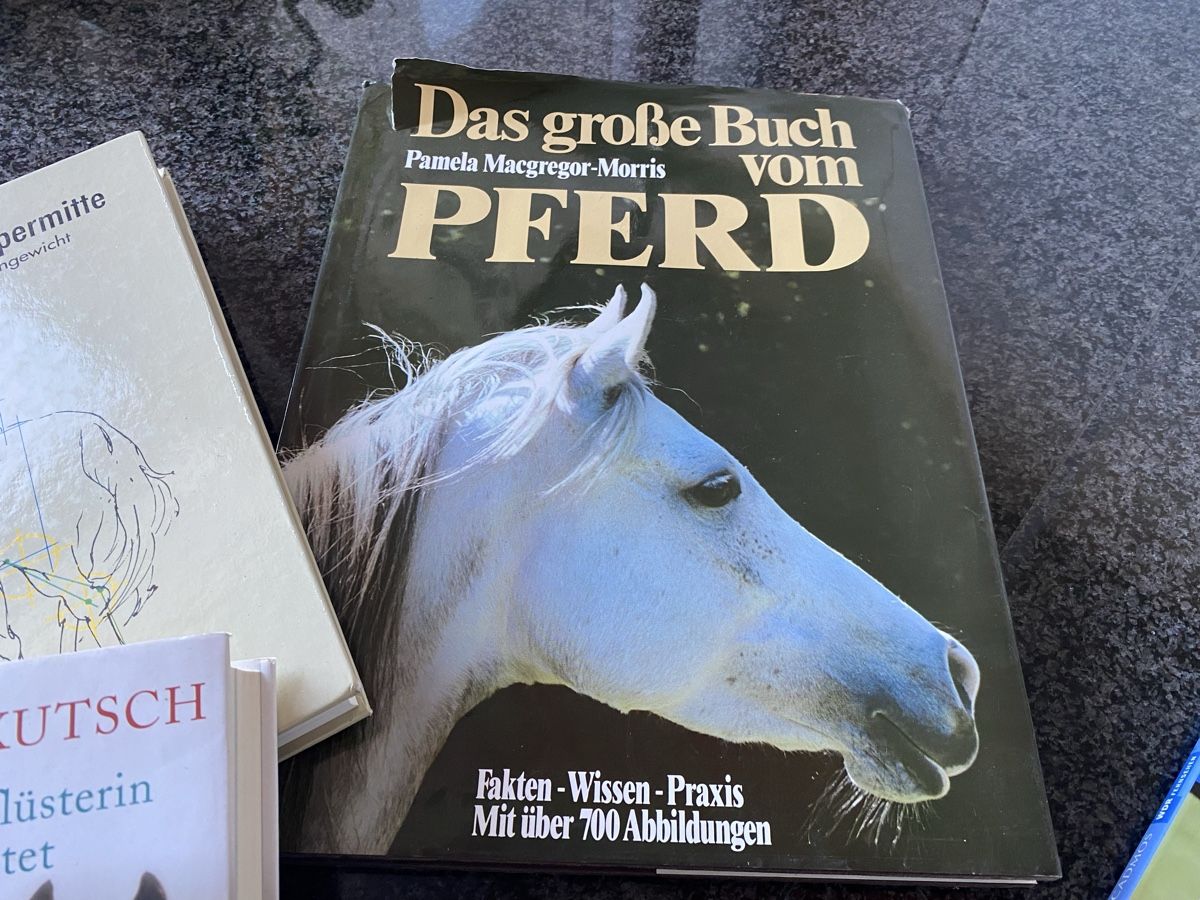 Libri: Pferde Bücher 6 Stck – Usato da St.Gallen venduto da Design04 1