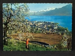 Vevey, La Ville, le Lac Léman et les Dents du Midi