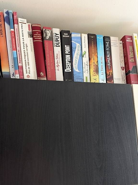 Libri: Livres  – Usato da Puidoux-Gare venduto da R.Amaro 1