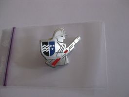 Pin Feuerwehr Aargau Schweiz