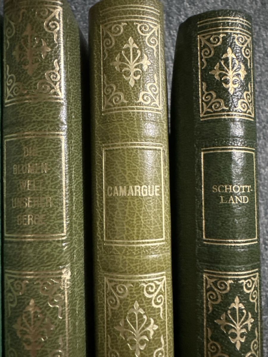 Libri: Avantibücher 10 Stück  – Usato da Baltschieder venduto da YmroBe 4