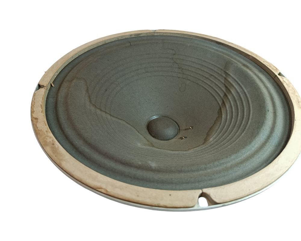 Jensen Casse acustiche: JENSEN P12R Gitarrenlautsprecher – Usato da Luzern venduto da Restwert_Luzern 7
