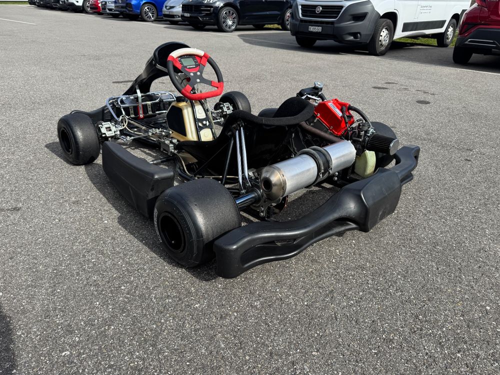 Swiss Hutless Kart Swissauto 250 ready to race 3