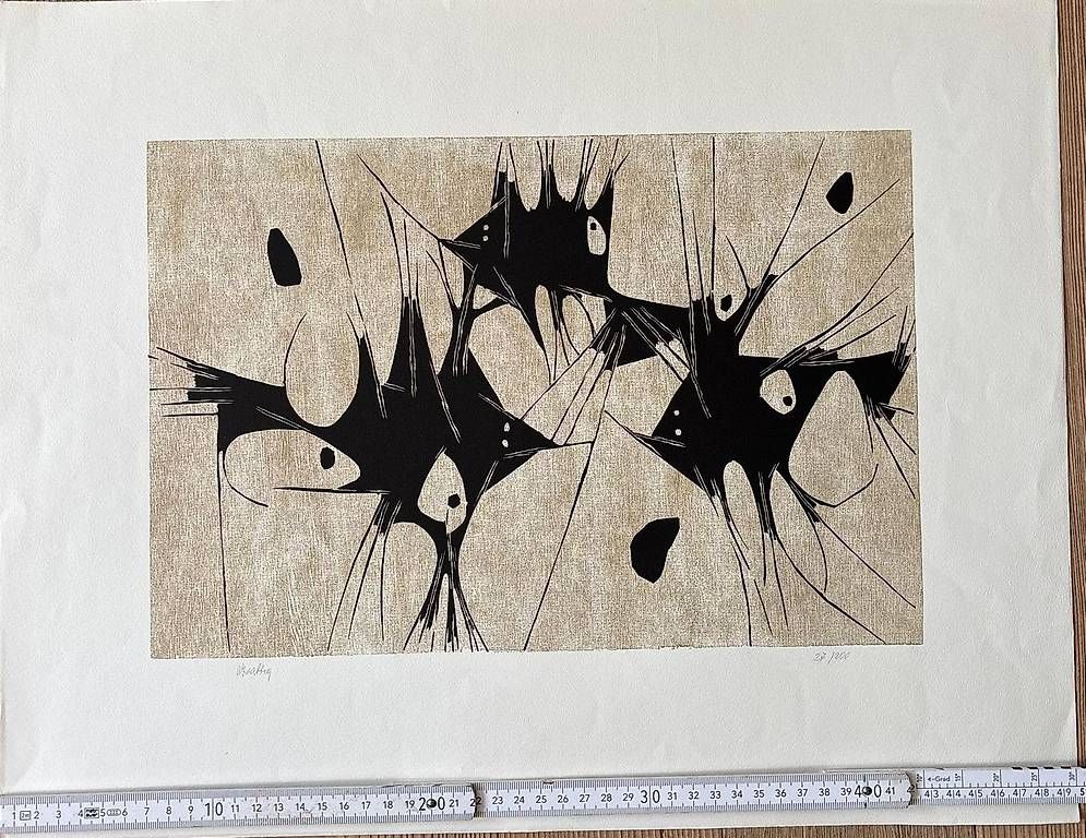 Grafica & Litografie: Lithographie - Fische von Werner Brattig – Usato da Zürich venduto da rom_5vdf