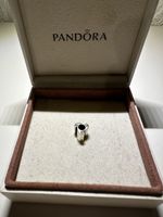 Pandora Anhänger Good Luck