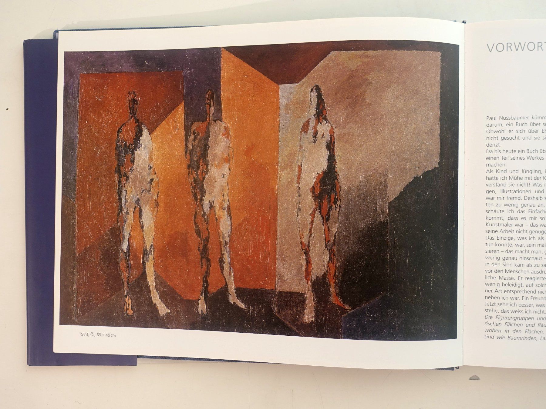 Bücher: Paul Nussbaumer. Maler, Zeichner, Illustrator. Monographie – Gebraucht aus Gutenswil von Optico 3