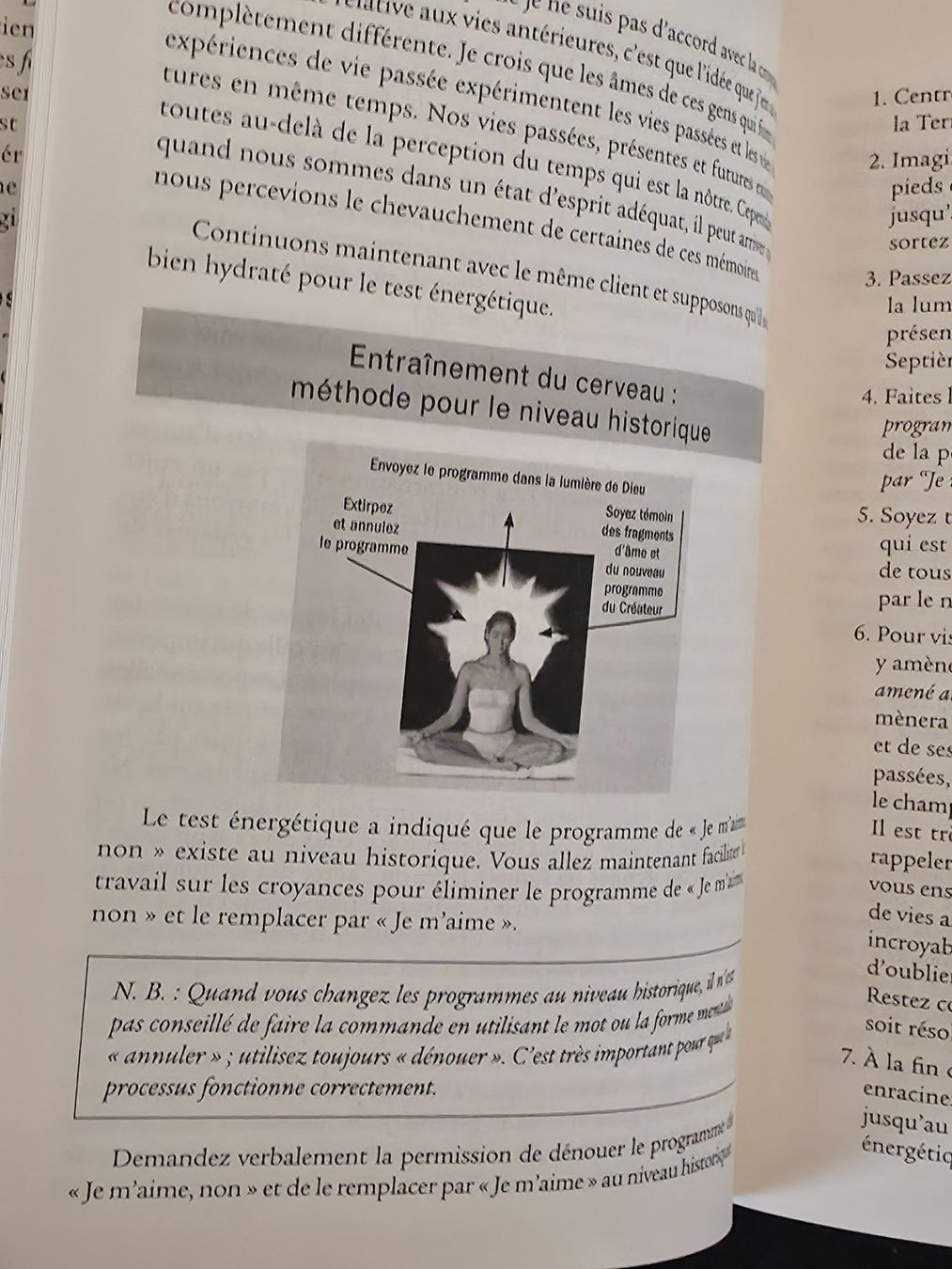 Libri: La Technique Du ThetaHealing Vianna Stibal Guy Trédaniel Éds – Usato da Montreux venduto da Edelweissgirl_64 9