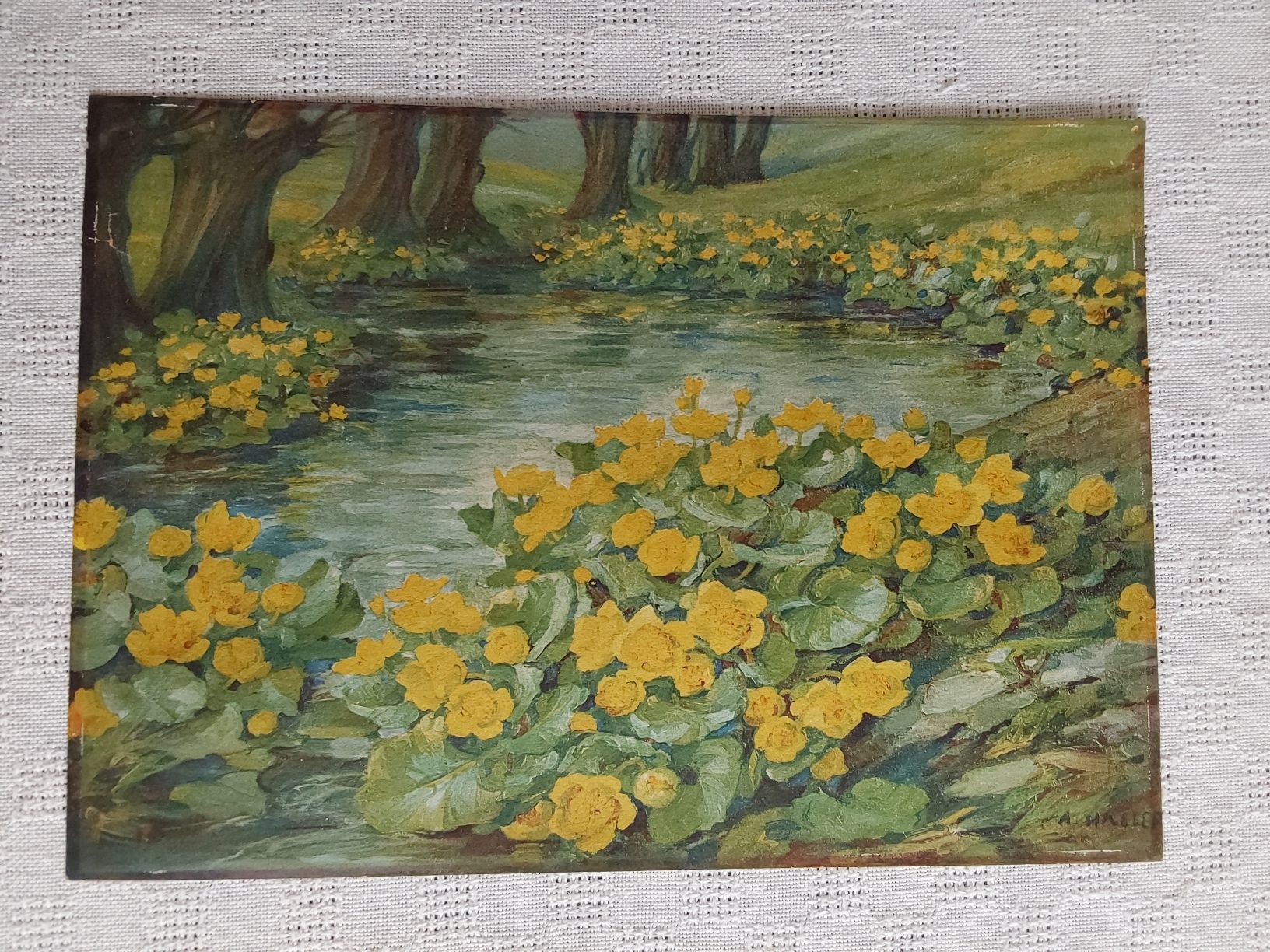 Foto & Immagini: Anna Haller Grafik 21x30cm. – Usato da Steinach venduto da Chilli1957 8
