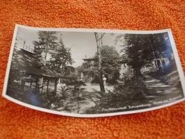 Ansichtskarte Fünftälerstadt Schramberg