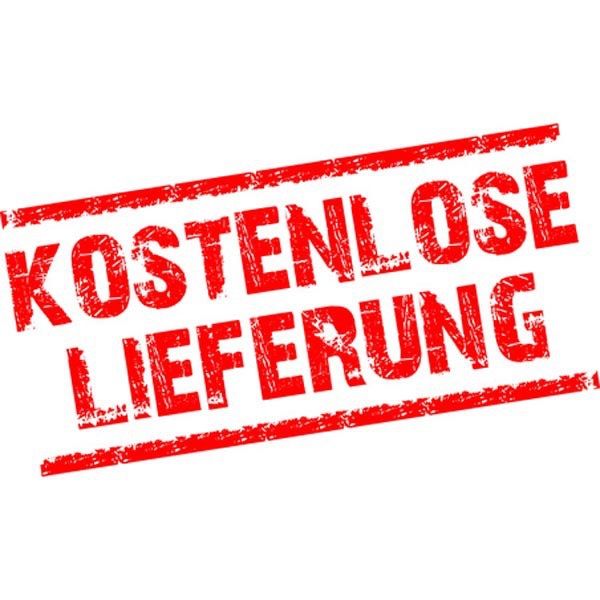 Pulizia & Igiene: Desinfektionsspender 1000 ml 2er Set – Nuovo e nell'imballaggio originale da Bülach venduto da StoreInShopSwiss 9