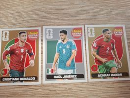 Panini Extra Sticker