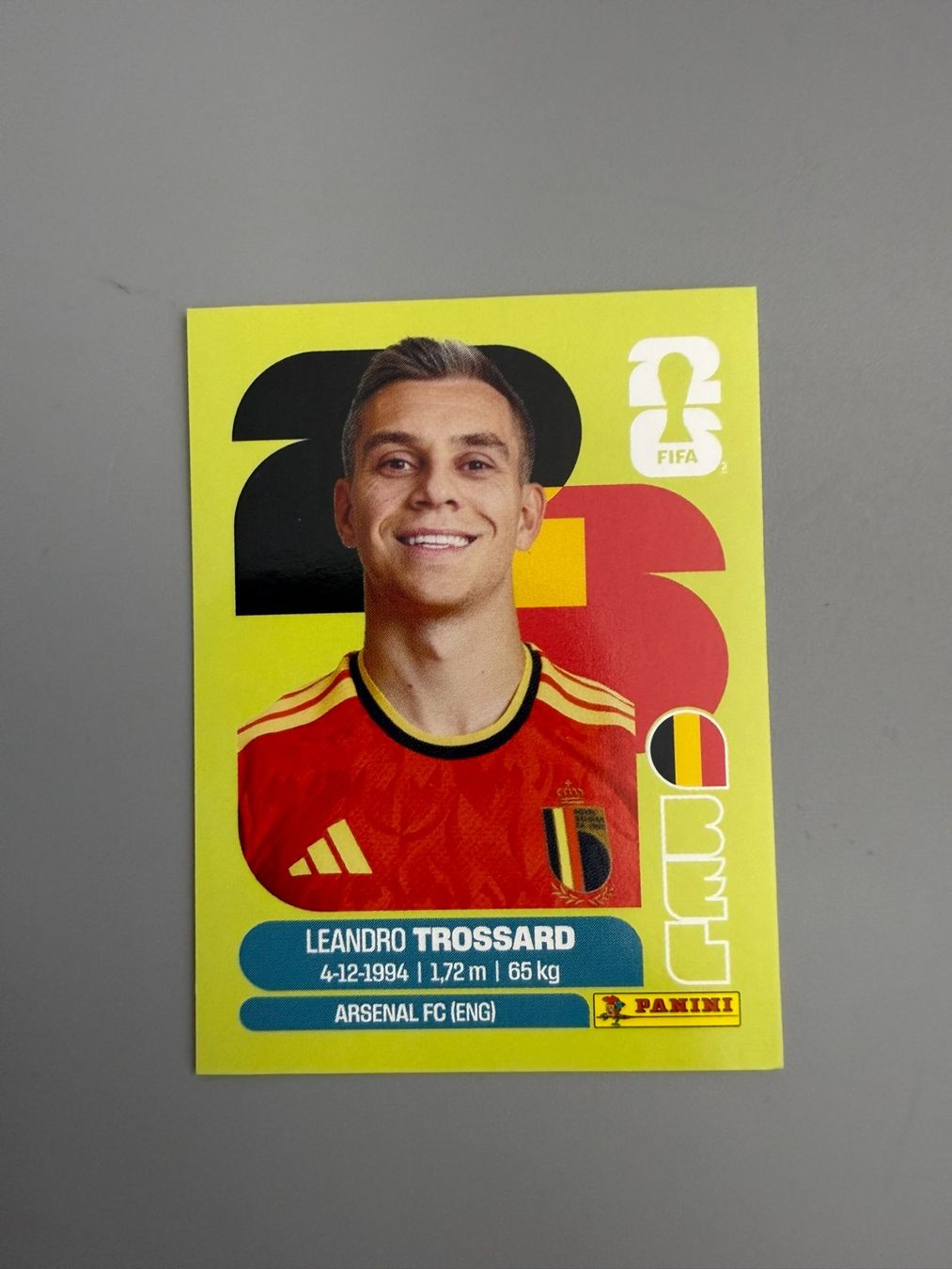Panini Carte collezionabili: Panini Leandro Trossard BEL18 – Usato da Liebefeld venduto da Ronaldo-1996