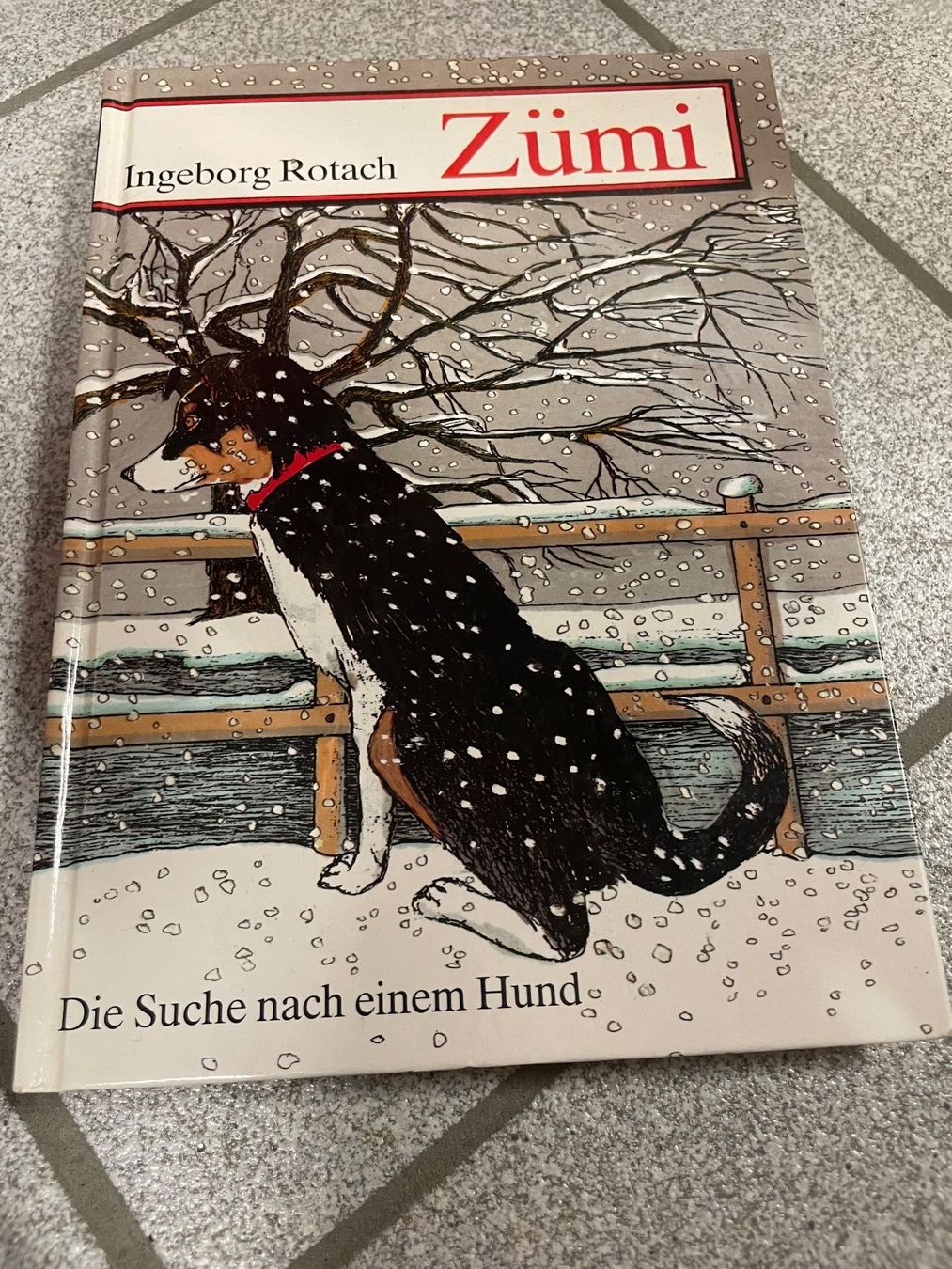 Livres: Zümi: Die Suche nach einem Hund – D'occasion à Eschen par books_and_more