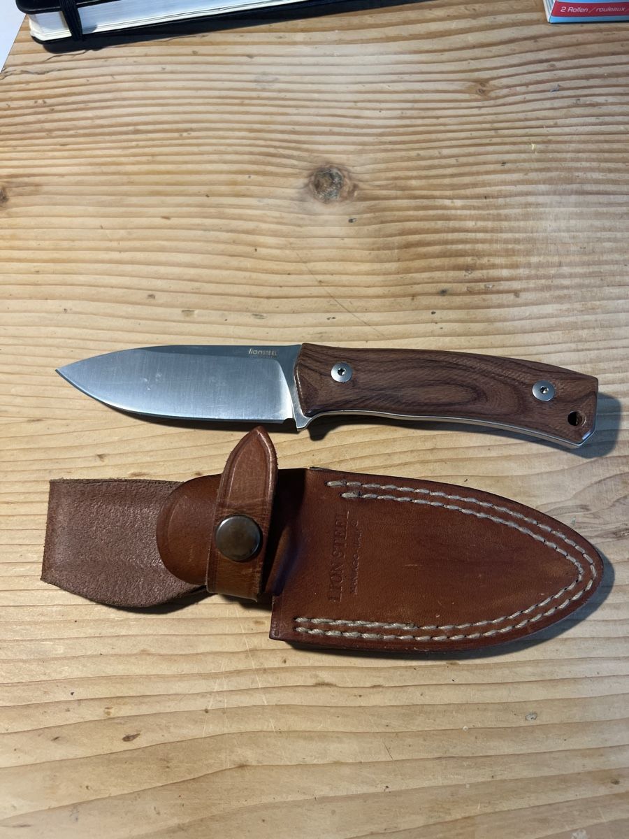 Accessori: Lionsteel M4 Santos – Nuovo (secondo la descrizione) da Balgach venduto da lor_28v2 4