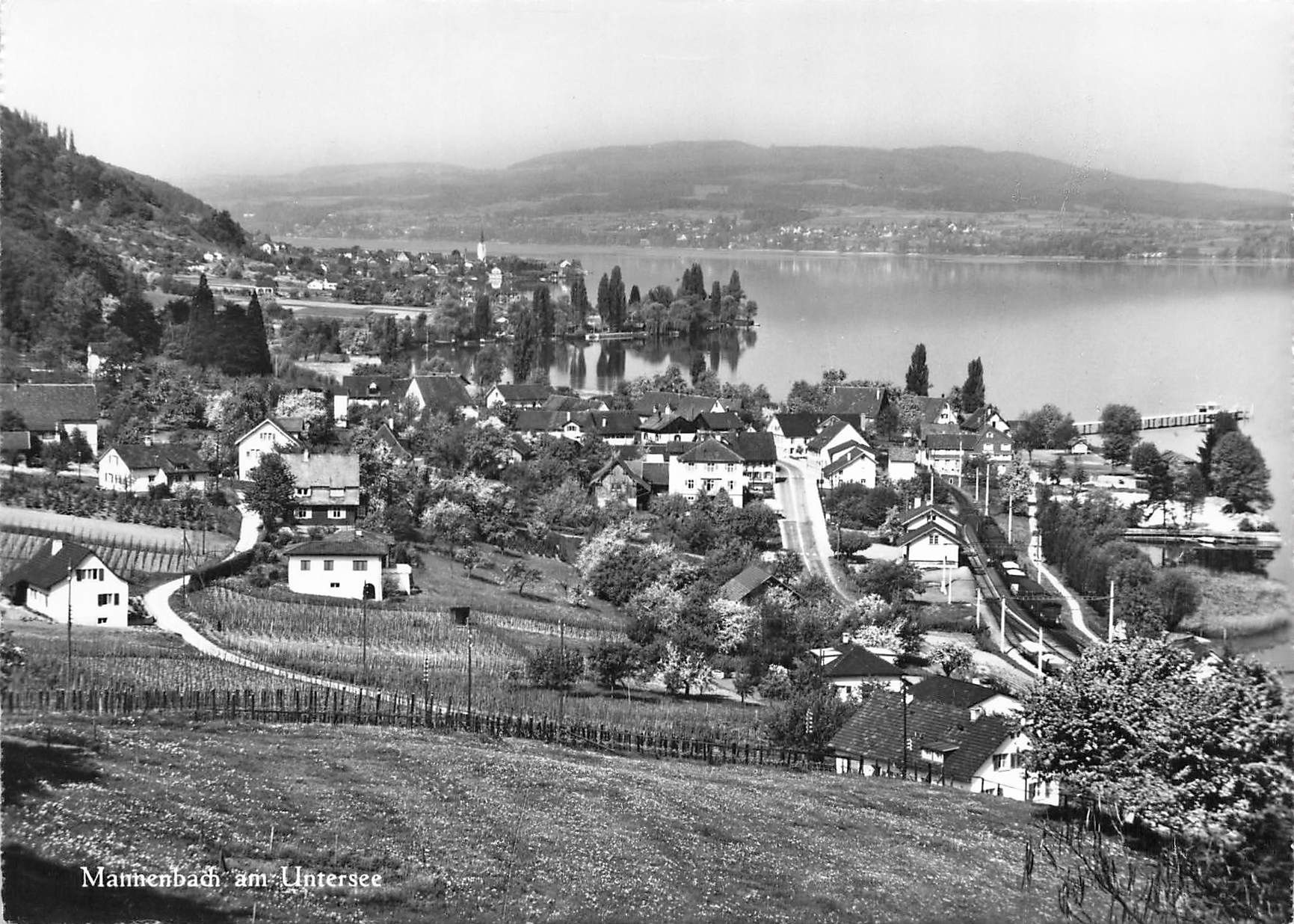 Cartoline postali: Mannenbach am Untersee G – Usato da Biasca venduto da Blenio71
