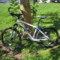 🚴‍♂️🔥 GIANT Terrago 3 Disc – MTB Klassiker! 💪✨