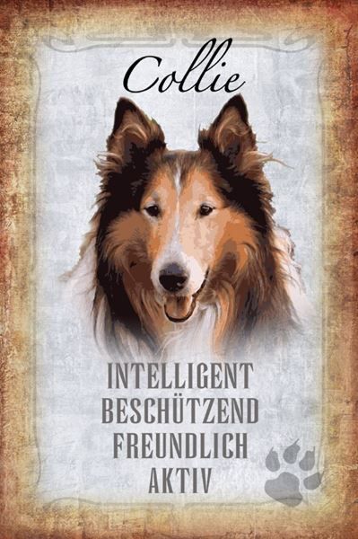 Insegne: Blechschild-STECKBRIEF-COLLIE HUND – Nuovo e nell'imballaggio originale da Rupperswil venduto da big-one-sale