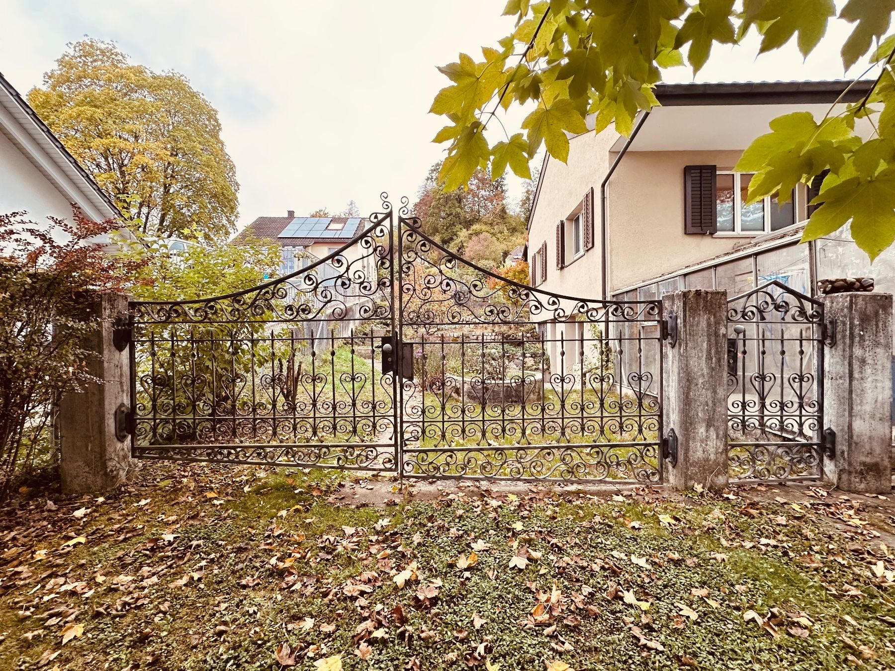 Porte: Eisentor, Handgeschmiedet – Usato da Wil / ZH venduto da matzrodt