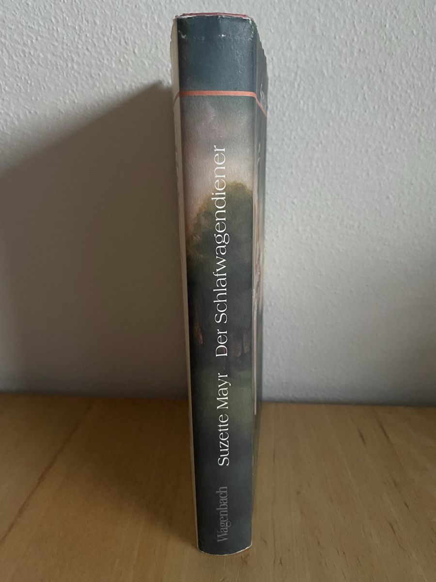 Bücher: Der Schlafwagendiener - Suzette Mayr – Gebraucht aus Schwarzenburg von Michellu 8