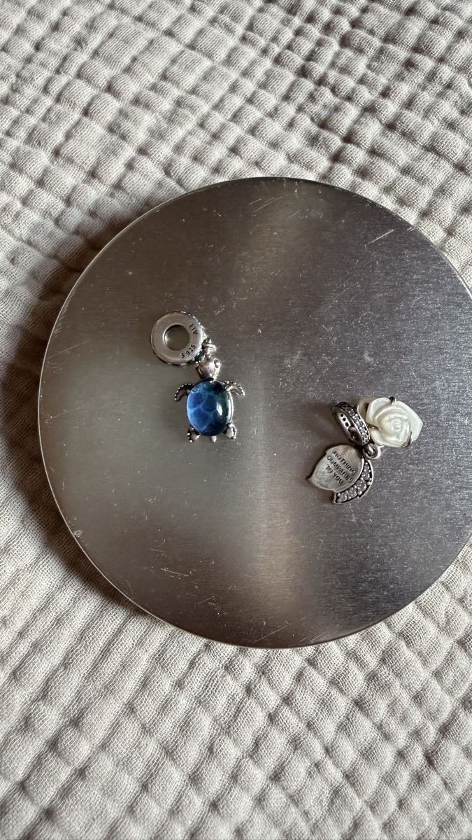 Pandora Pendentifs: Pandora Charms – Neuf (Voir description) à Winterthur par zwa_tr97