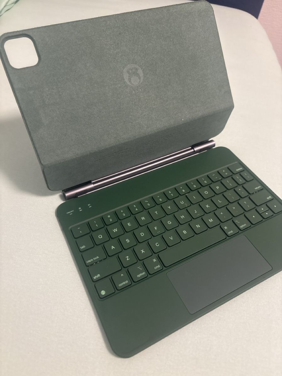 Tastiere: Ipad Air Tastatur – Usato da St. Gallen venduto da erd_ys66