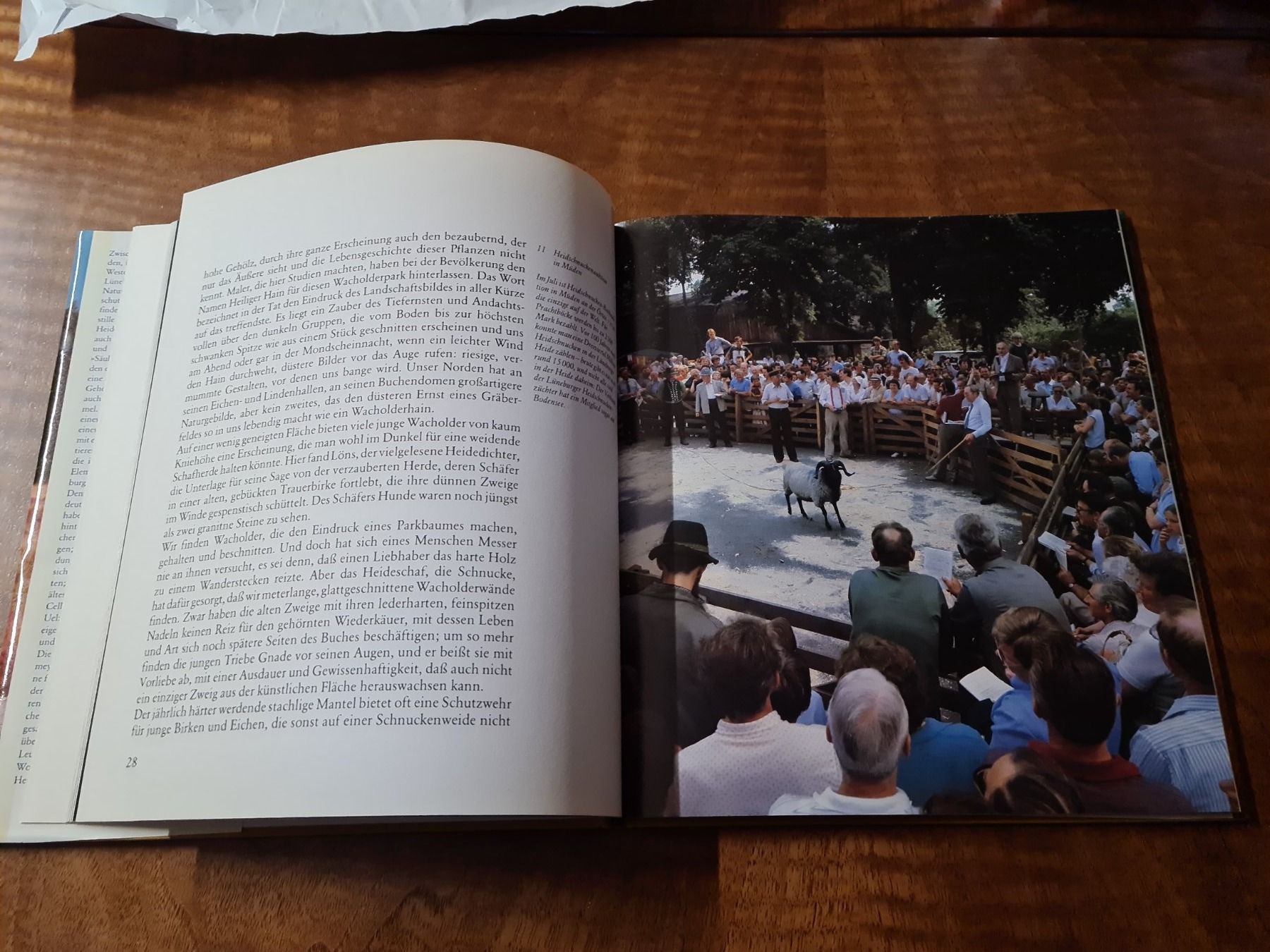 Libri: Lüneburger Heide – Usato da Erstfeld venduto da Mario_boe0 2