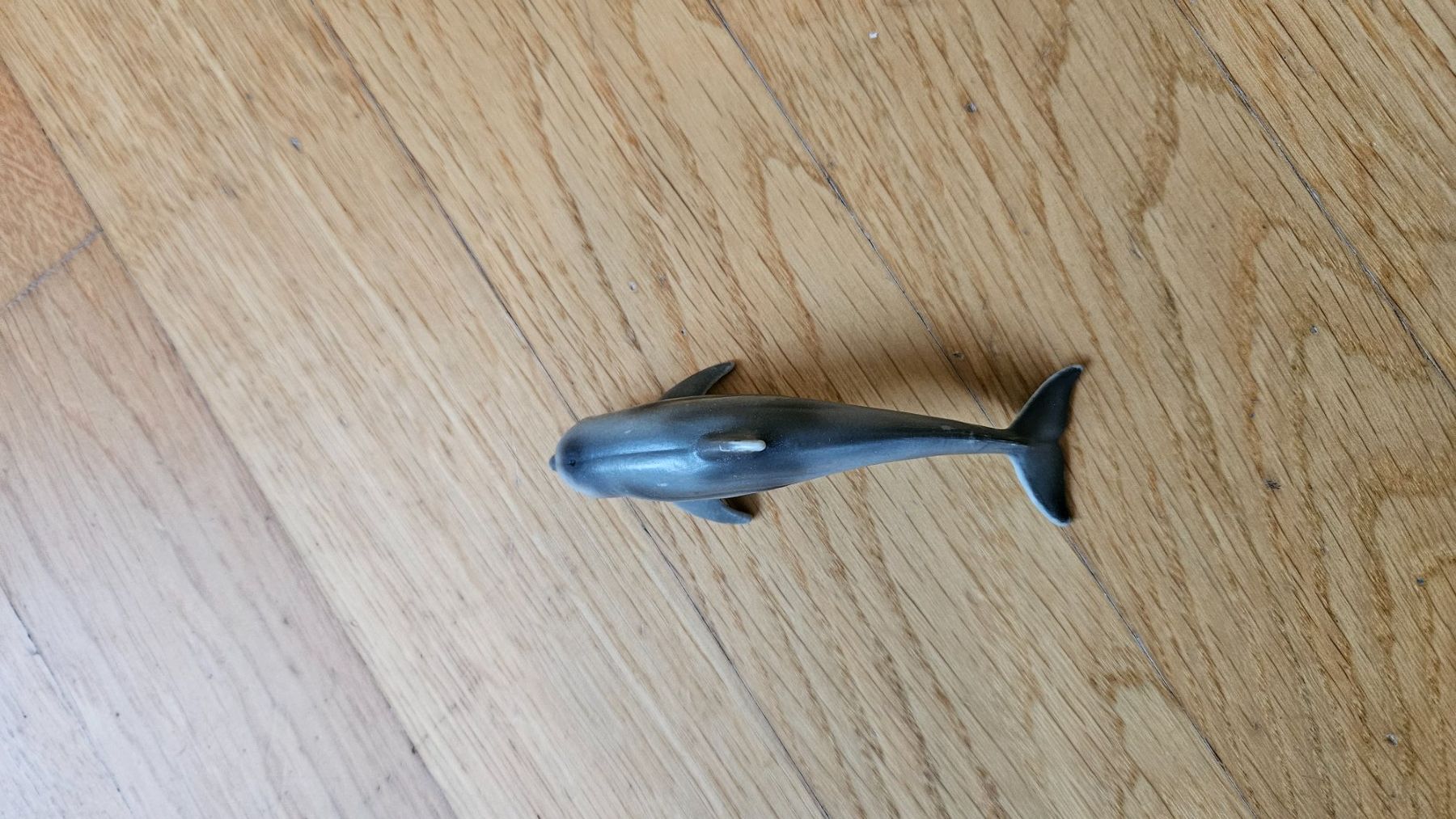 Schleich Spielzeuge: Schleich Delfin – Gebraucht aus Bubikon von diditoto 2