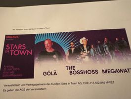 Stars in Town Schaffhausen 31. Juli 2026, 1 Ticket