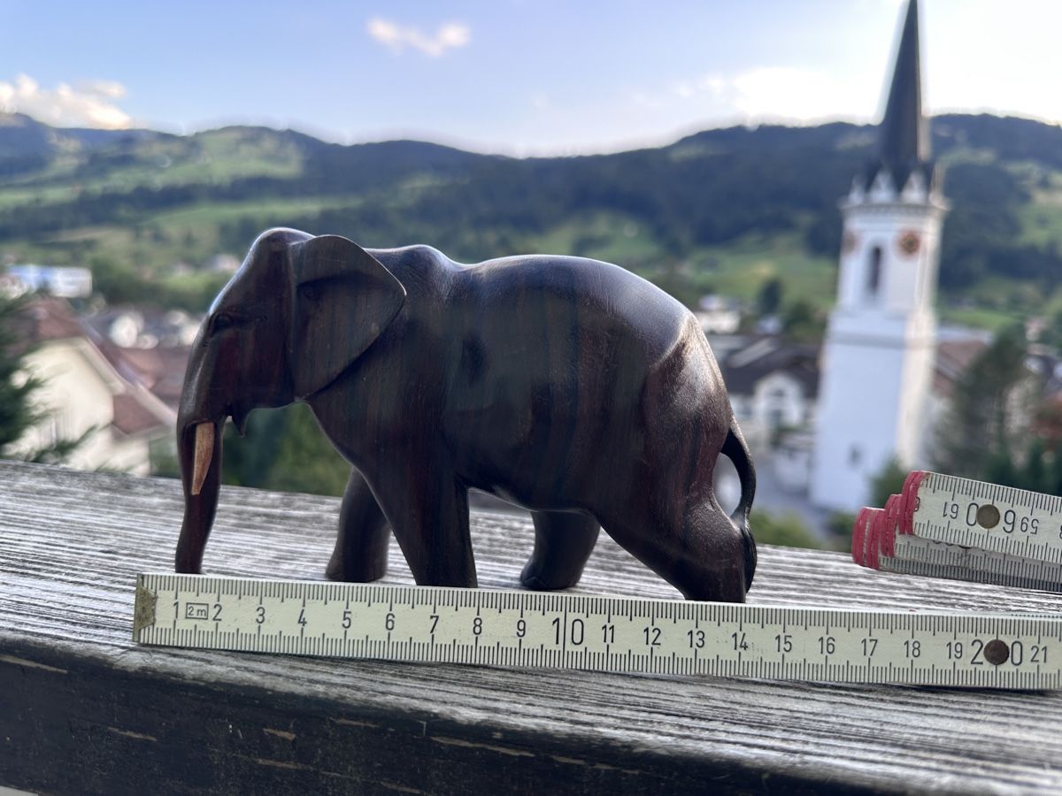 Statuette: Elefant dunkles Holz – Usato da Ebnat-Kappel venduto da ladina83 3