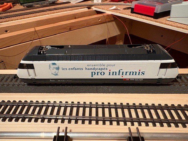 Hag Modellini di ferrovie: HAG Re 460 H0 WS Digital Infirmis – Usato da Regensdorf venduto da Basc 5