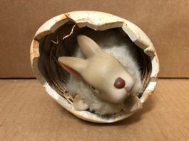 Hase in Eierschale auf der Seite