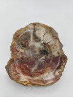 Vide poche, cendrier bois fossilisé