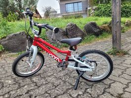 Woom 14 Zoll