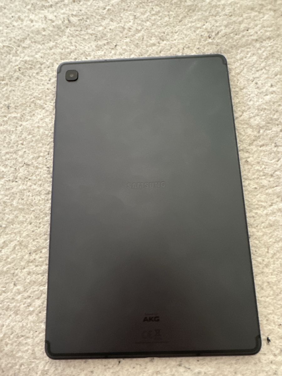 Samsung Tablet PC: Samsung Galaxy S6 lite (SM-P610) tab – Usato da Kirchleerau venduto da Rvgc86 1