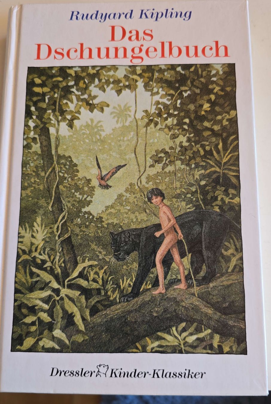 Libri: Das Dschungelbuch Kinderbuch Kipling Klassiker – Usato da Oberbüren venduto da Elk2025