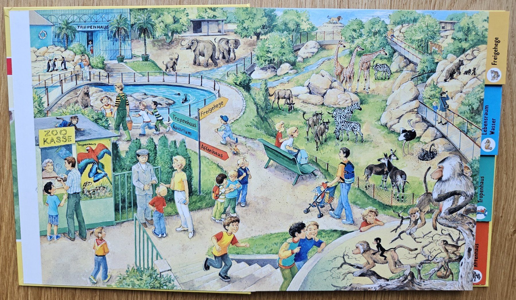 Libri: Tierkinder im Zoo – Usato da Schaffhausen venduto da asyouwestley 2