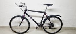 Trek MTB 26" mit Carbon Rahme Gratis Lieferung