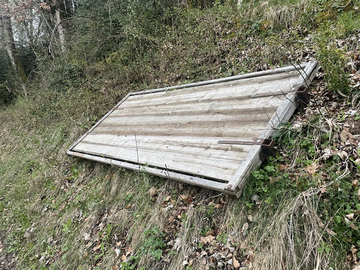 Aebi Trattori: Aebi tp Holzbrücke – Usato da Heimisbach venduto da RB3453