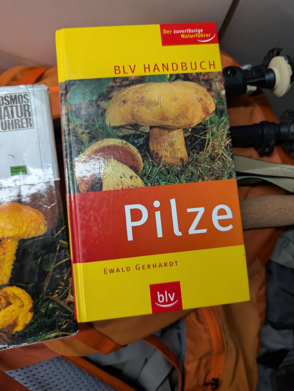Libri: 3 alte Pilzbücher – Usato da Wynau venduto da Zebrafurz 3